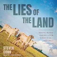The Lies of the Land Audiolibro Por Steven Conn arte de portada
