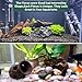 Hamiledyi 3 Pcs Natural Driftwood for Aquarium 7-12 Inch Driftwood Branches Bearded Dragon Accessories Reptiles Aquarium Decoration Assorted Size Natural Habitat Decor Wood for Lizad