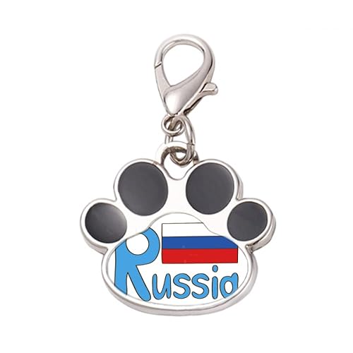DIYthinker?Russia National Flag Blue Pattern Pet Tag Keychain Dog Cat ID