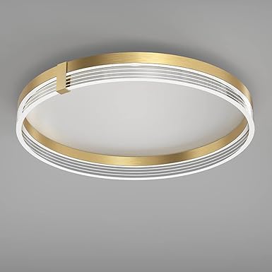 SAIVITT Led-plafondlamp, slaapkamerlamp, dimbaar, modern, goud, rond, geborsteld aluminium, acryl, 50 cm, creatieve plafondlamp, ovaal, ringpaneel, lamp met afstandsbediening, voor woonkamer, kinderkamer, verlichting