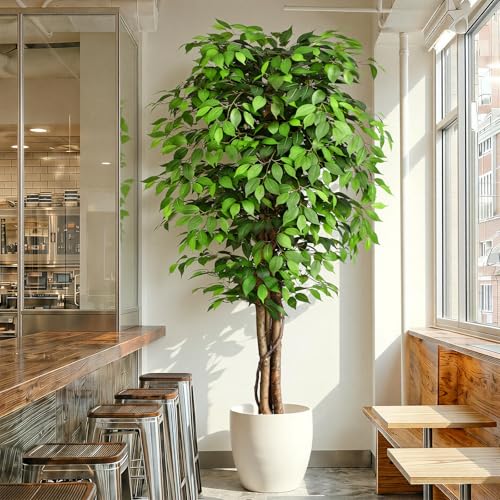 Keeplush Ficus Artificiale Pianta 210cm alta, Piante Finte da Interno Grandi con Tronchi Natural Ha 1760 Foglie, Albero Artificiale Interni Per Soggiorno Ufficio Giardino Dec