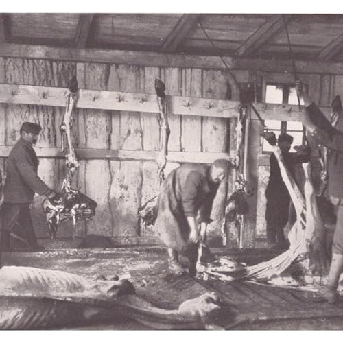 Ep. 65: L'ultimo Natale di Przemyśl (1 dicembre 1914 - 15 gennaio 1915) copertina