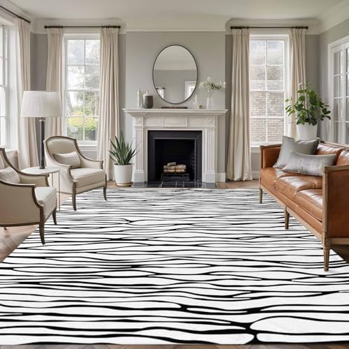 Area Rug for Living Room, Black White Lines Non-Slip Indoor
