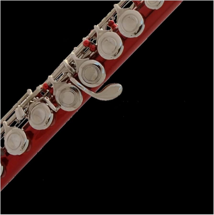 フルート本体 赤い装飾付き 51ZRP9sVylL._AC_UF894,