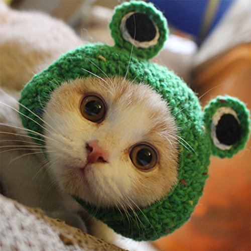 Hillento Pet Hat - Dog Cat Pet Cap Handmade Knitted Woolen Yarn Hat For Puppy Teddy Cartoon Frog Animal Dog Cat Grooming Accessories Apparels, Green, S #TOP12