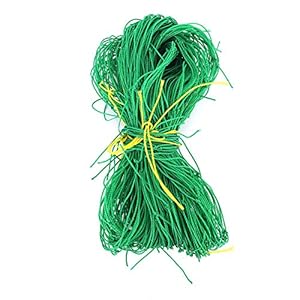 Jeanoko Vogelvervoer, lichtgewicht tuinieren Netting Hoge dichtheid Nylon Vijver Netting Netting Tuin Netting Frame voor Vining Groenten