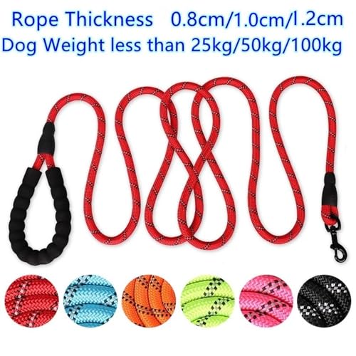 Longe de chien pour balade nocturne en toute sécurité - 6