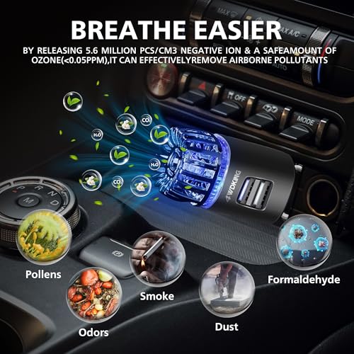 4WDKING Ionizer with Dual USB