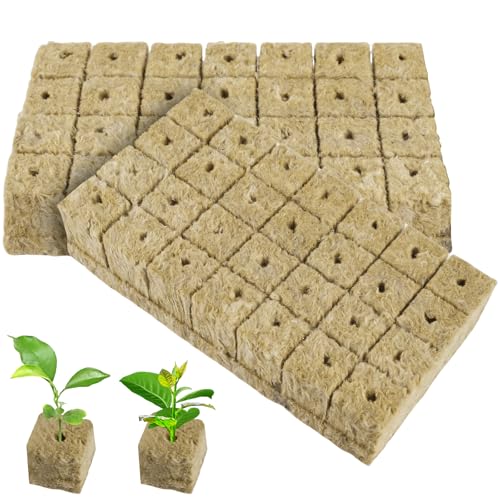 BAIFULAI 56 Stück Steinwolle Anzucht, 4 x 4 x 4cm Steinwolle Blatt Anzucht, Anzuchtwürfel für hydroponischen Anbau, Bodenlos Anbau Rockwool Cube für Gemüse Stecklinge Kolonisation und Umpflanzen BAIFULAI 56 Stück Steinwolle Anzucht, 4 x 4 x 4cm Steinwolle Blatt Anzucht, Anzuchtwürfel für hydroponischen Anbau, Bodenlos Anbau Rockwool Cube für Gemüse Stecklinge Kolonisation und Umpflanzen