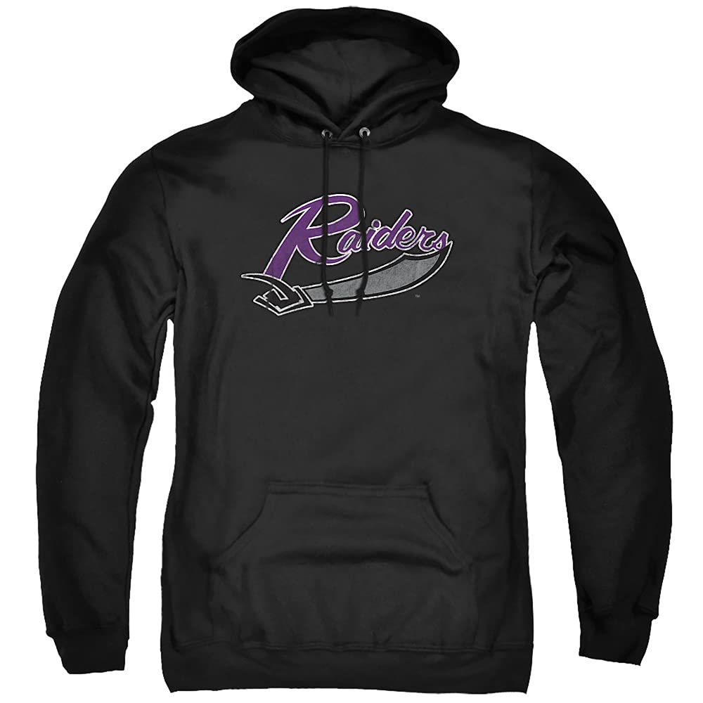 LOGOVISION Official Collegiate Distressed Primary Logo Adult Pullover Hoodie Collection — view 335