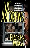 Broken Wings