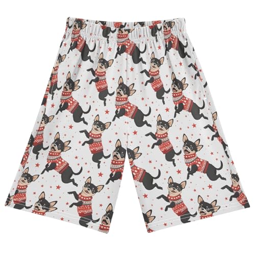 ALAZA Christmas Dog Star Pajama Shorts Sleep Shorts Pant Lounge Pajama Bottoms Elastic Waist with Pockets