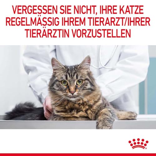 Royal Canin Appetite Control Care | 2 kg | Trockenfutter für ausgewachsene Katzen bis zum 7. Lebensjahr | Zur Kontrolle des Bettelverhaltens | Auch für kastrierte Katzen