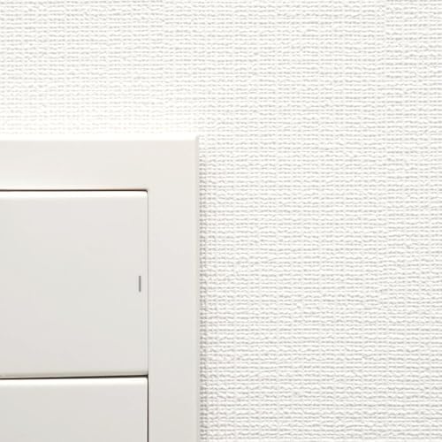 ǎ{ ǎ ̂t V D n zCg  J NX LB9529 30 y󒍐YiLZsz