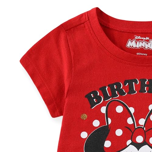 Disney Minnie and Mickey Mouse Girls Birthday Party Short Sleeve T-Shirt for Toddler and Big Kids2