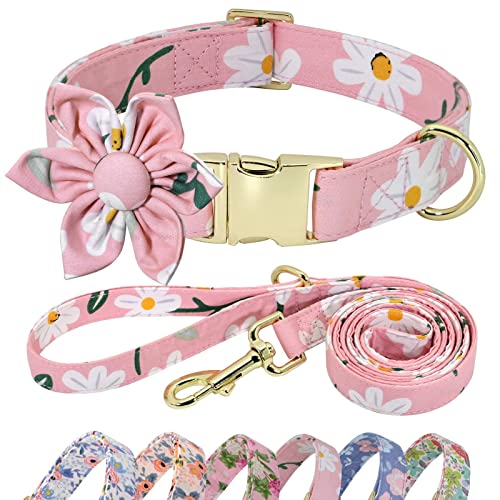 Beirui Leuke meisjeshalsband en riem set voor vrouwelijke honden - bloemenhalsband met bloem voor kleine, middelgrote en grote honden puppy, M: hals 13-21 inch, riem 13 cm, roze - 2