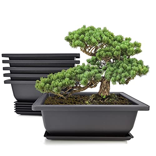 MUZHI 6PCS/Pack Retro Style Basin Larger Plastic Flower Pot Planters 8.9 Inch Bonsai Plant Bowl...