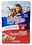 miglior gatto set 24 miglior gatto busta 100 gr umido manzo e carote straccetti