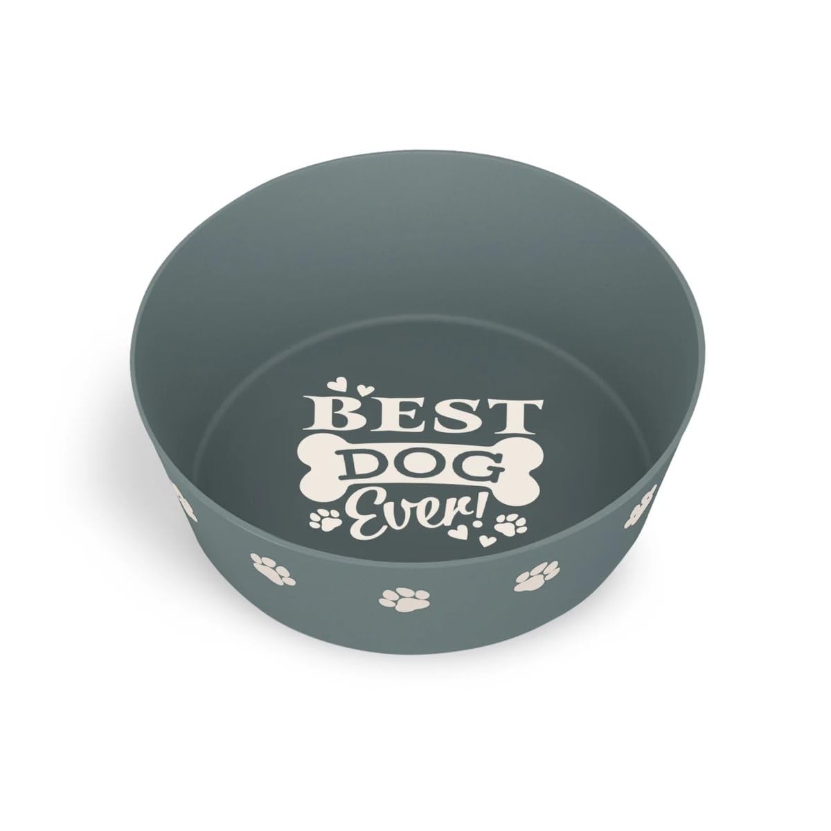 Personalised Dog Bowl (Best Dog Ever)