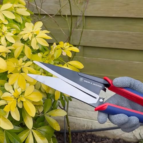 Tijeras para Topiaria Spear & Jackson 13" x 3.5" miniatura 5