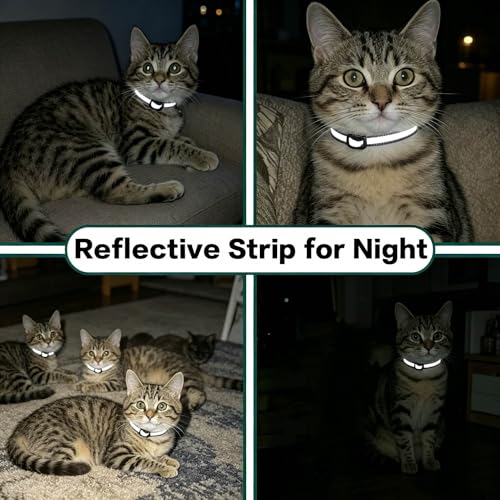 Image of Airtag Cat Collar Breakaway,Safety Kitten Collar with Apple Airtag Holder,Reflective GPS Cat Collar with Bell,Lightweigh Tracker Cat Collars for Girl Boy Cats,Kittens and Puppies (Black Reflective)