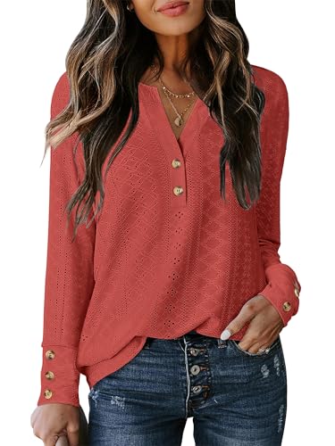 ANRABESS Womens Eyelet Tops Long Sleeve Henley Shirts Business Dressy Casual Blouse Vacation T-Shirt 2025 Fall Outfits