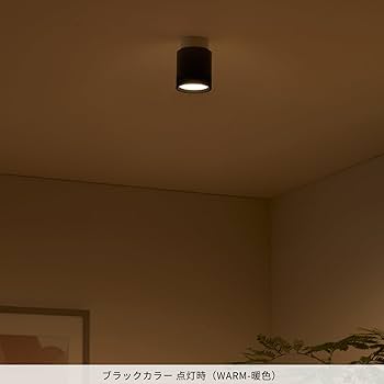 ART WORK STUDIO AW0552E-D/SV シーリングダウンライト 0524-0525-thumbnail.jpg