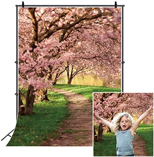 Spring Scenery Backdrop,Yeele 6x8ft Flower Blossom Forest Sunshine Green Grass Garden Path Riverside Photography Background Natural Landscape,Kids