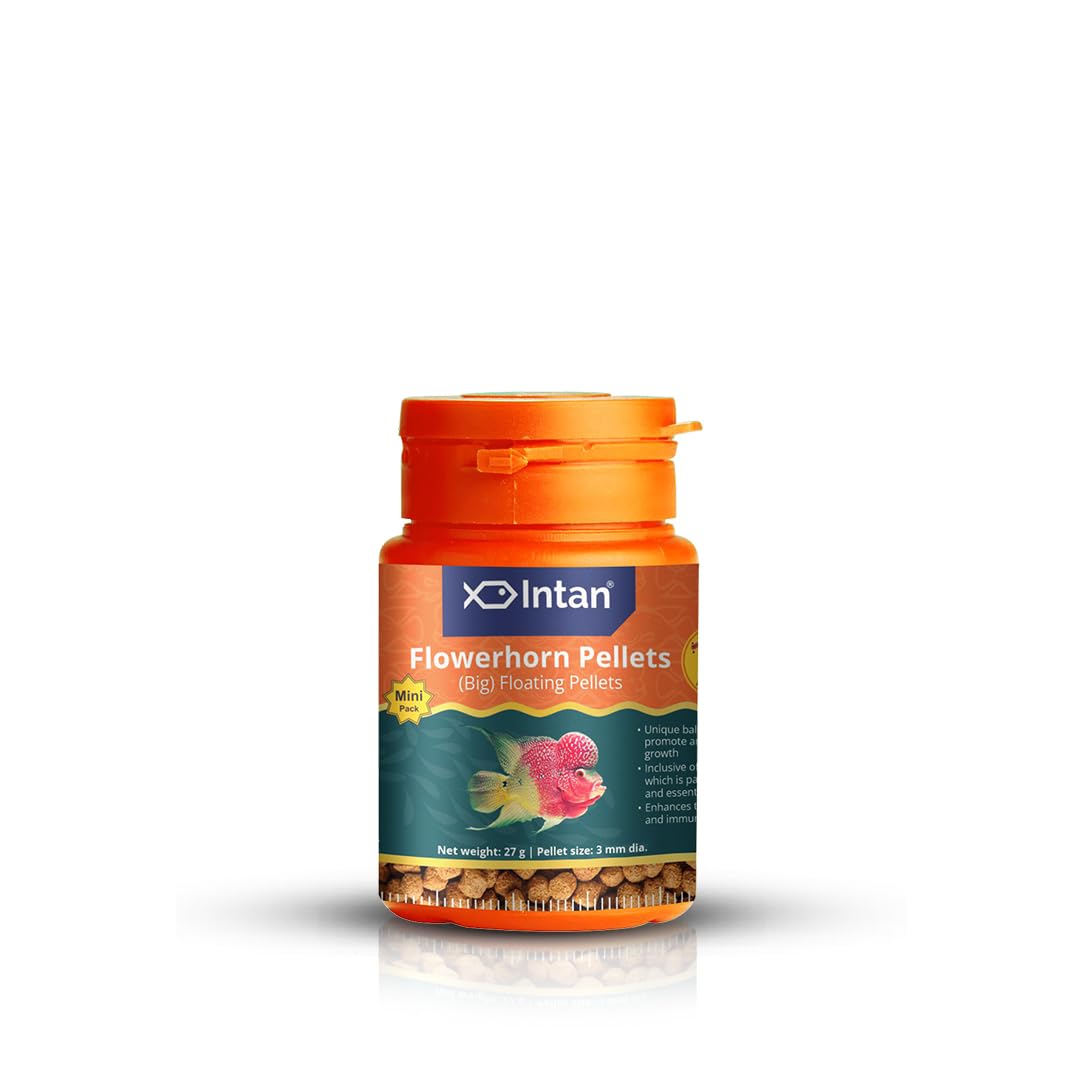 See full amazon price history chart for Growel Intan Flower Horn Pellets (Big 3.0mm Floating) | 27gm - Highly Nutritious Ornamental Fish Food for Flowerhorn & Kamfa Growel Intan Flower Horn Pellets (Big 3.0mm Floating) | 27gm - Highly Nutritious Ornamental Fish Food for Flowerhorn & Kamfa (B0CV9XMMXV) Amazon Price History, Amazon Price Tracker