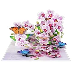 Purple Orchid Butterflies