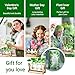 Propagation Station, Plants Terrarium, Plants Lover Gifts for Women,Plant Cutting Holder Home décor,Gifts for Women,House Warming New Home-3 Bulbs