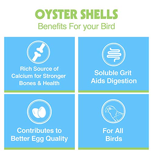 Oyster Shells, 15.5 Ounces #TOP4