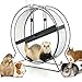 YUKM Roue De Hamster, Roue De Sport De Barbelée, Roue Amusante sans Bruit, Rest House Nid Gerbilles, Chinchillas, Hérissons, Souris Et Autres Roues Antidérapantes pour Animaux