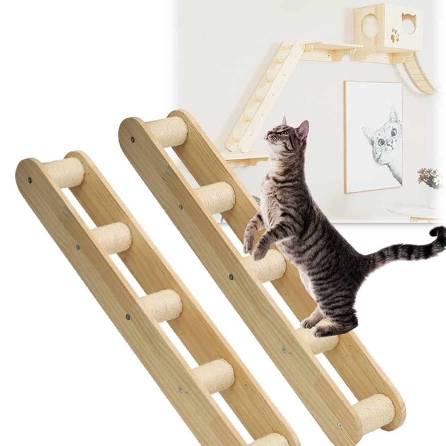 H17K55 ロココ調カップボード 鍵付き 猫脚 H17K55 ロココ調カップボード 鍵付き 猫脚 楽天市場】猫脚