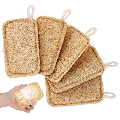 WEKADRIN 5 piezas Cepillo de Lavar Platos Natural de Lufa Esponjas Ecológicas Reutilizables para Limpieza de Ollas Tazas y Utensilios de Cocina Duraderas y Seguras
