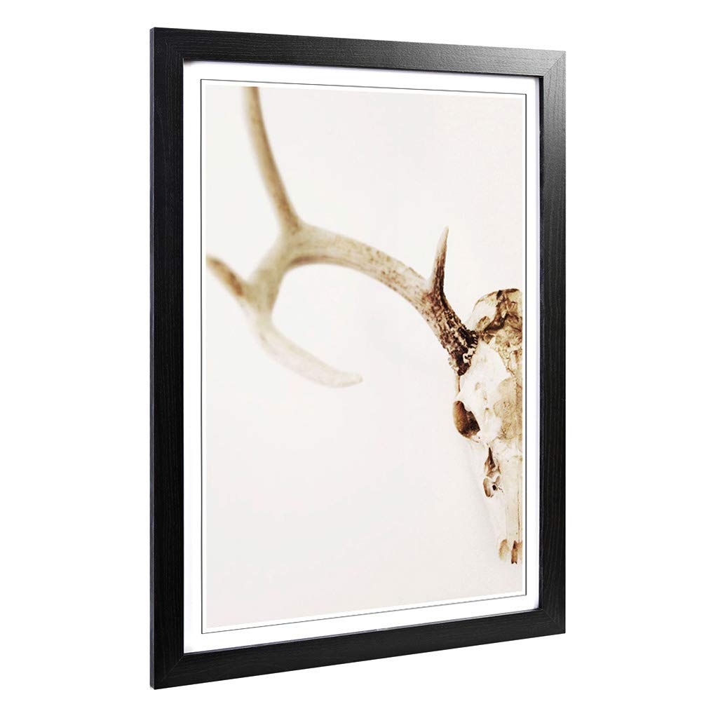 Big Box Art Framed Print of Stag Skull Design | Wall Art Picture | Home Decor for Kitchen, Living, Dining Room, Lounge, Bedroom, Hallway, Office, Black, A2 / 24.5x18 Inch / 62x45cm