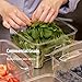 Cambro FreshPro 2Qt Food Storage Container in Clear for Industrial and Kitchen Use, Pantry Organization and Ingredient Freshness