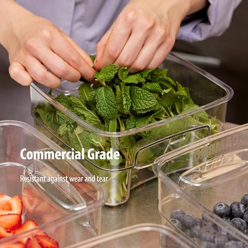 Image of Cambro FreshPro 2Qt Food Storage Container in Clear for Industrial and Kitchen Use, Pantry Organization and Ingredient Freshness