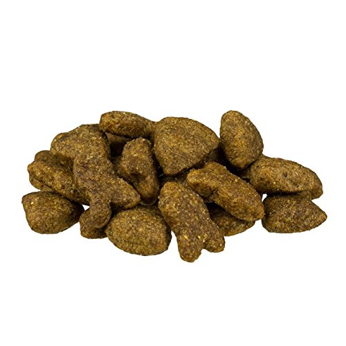 Bosch Adult Fisch & Kartoffel Trockenfutter für Hunde. Eine heathly ausgewogenen Lebensmittel für Ihren Hund