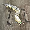KiwiCo - Remote Controlled Snake Robot | DIY Robotics Engineering Building Kit | Science Exploration Activity & RC Learning Toy & Gift for Kids Ages 9+
