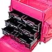 SHANY Makeup Artist Soft Rolling Trolley Cosmetic Case with Free Set of Mesh Bag Makeup Organizer - Travel Rolling Makeup Bag - Sweetheart