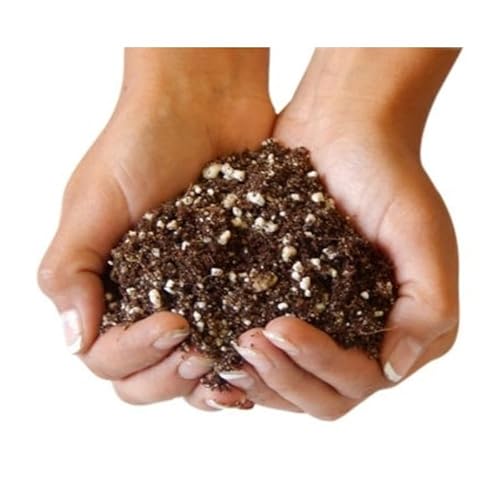 Turba para Cactus y Suculentas Formato de 5 Litros de Sustrato Especial