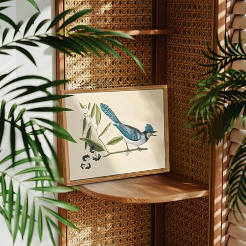 crmotu Vintage Framed Wall Art, Blue Bird Still Life Art Prints, Animal Nature Wall Decor Artwork, Retro Rustic Farmhouse Decor Canvas Pictures, Room Decor Aesthetic, Kitchen Decorations, 9x11inch