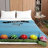 Chickwin 3D Pascua Colcha de Cubrecama Colcha Bouti, Ligero Edredón Manta de Dormitorio - Suave Multiuso Colchas para Cama de Infantil Individual Matrimonio (150x200cm,Azul Turquesa)