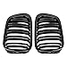 Anzios LH RH Glossy Black Dual Slat Front Kidney Grille Grill Compatible with 99-02 E46 2-Door Coupe Cabriolet (Pre-Facelift) Glossy Black Dual Slats For 1999-2002 E46 Coupe Cabriolet Pre-LCI