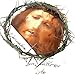 Generic Wearable Crown of Thorns with Veil of Veronica - Jesus Crown Lifesize 8 inch Plastic Headpiece for Passion Day, Church Play Prop