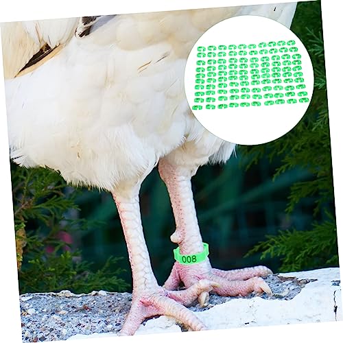 200 anneaux de marquage pour pattes de poulet numérotés vert DOITOOL