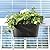 Beautiful Hanging Flower Pots for Outside Railing Or Fence - Stylish Set of 3 Outdoor Planters For Any Balcony, Porch or Deck - Window Planter Boxes Are Perfect to Grow Fresh Herbs & Flowers at Home