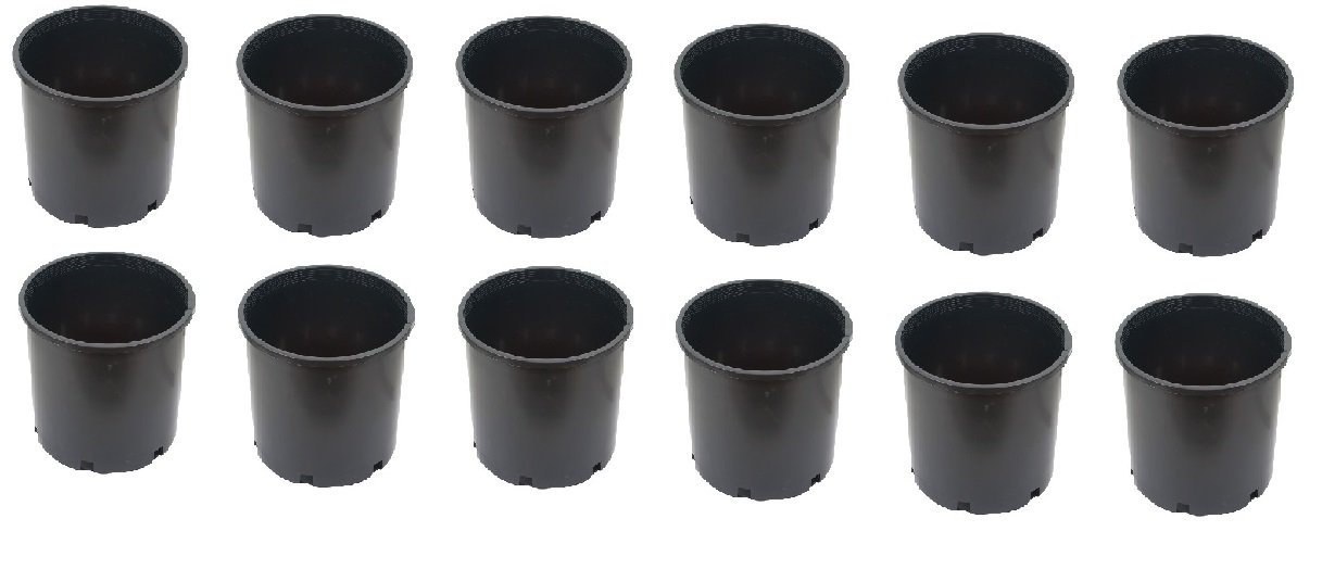 SPHINX Plastic Small Nursery Pots Planters - (Height/Depth - 10 cms/4 Inches) -Black (12)