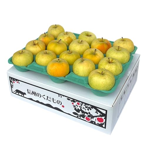 t[eB[ȍƑR̉ʏ`Xn Ă񂲁ugL5L󂠂iv쌧Y ܖ MBY  ̃S